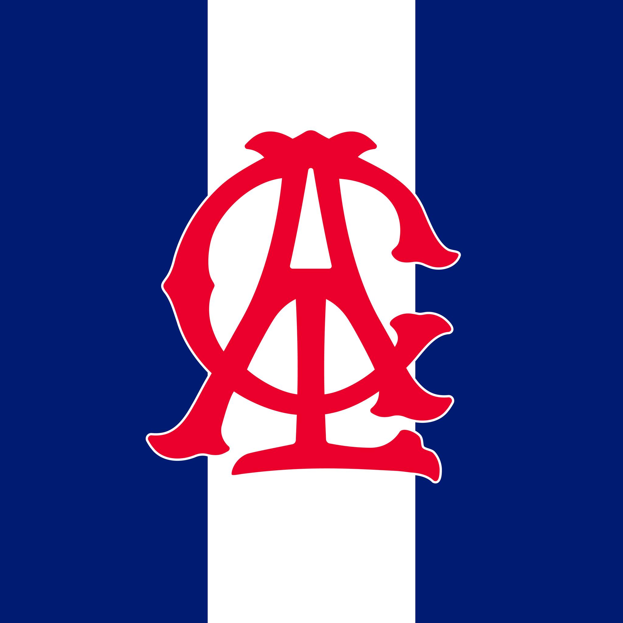 Assumption College Lampang sponsor logo